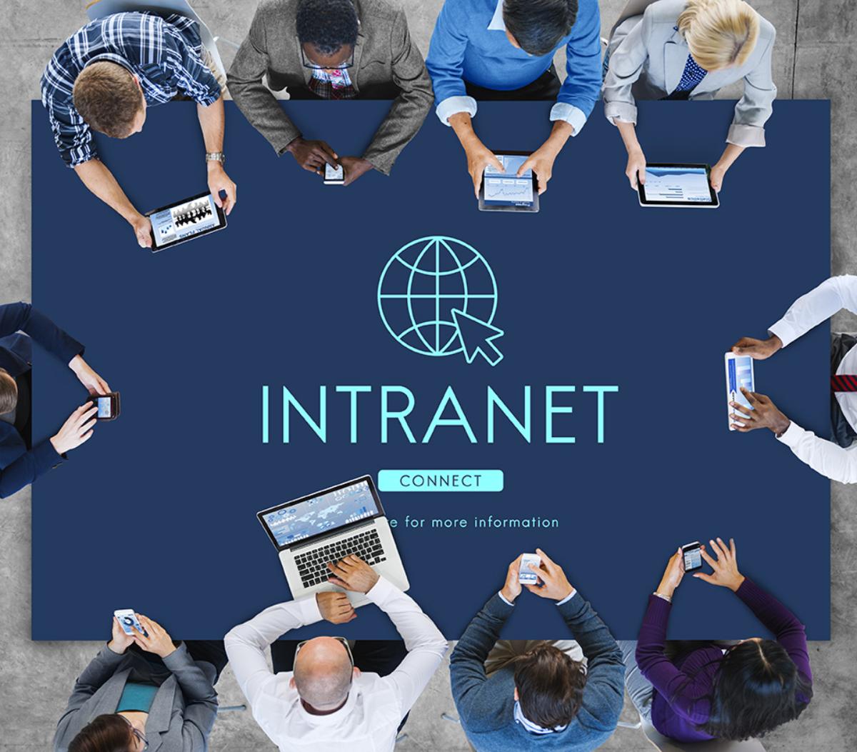 Best 9 Open Source Intranet Software for 2021 | dotCMS